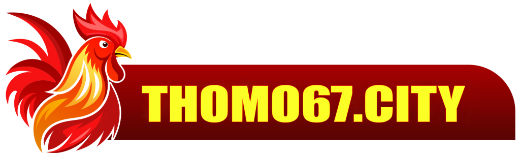 thomo67.city